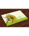 AMBESONNE NATURE PLACE MATS, SET OF 4