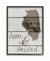 Stupell Industries Born And Raised Illinois Framed Giclee Art, 11" X 14" In Multi