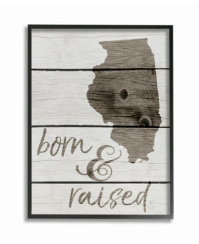 Stupell Industries Born And Raised Illinois Framed Giclee Art, 11" X 14" In Multi