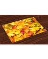 Ambesonne Fall Place Mats, Set Of 4 In Multi