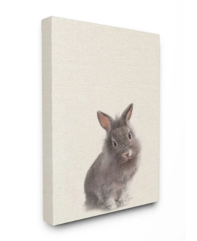 Stupell Industries Just A Cute Bunny Canvas Wall Art, 30" X 40" In Multi
