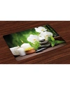 AMBESONNE SPA PLACE MATS, SET OF 4