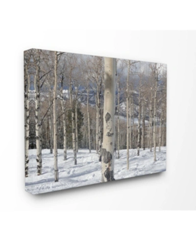 Stupell Industries Winter Birches Photography Canvas Wall Art, 30" X 40" In Multi
