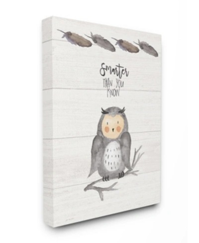 Stupell Industries Smarter Than You Know Owl Canvas Wall Art, 30" X 40" In Multi