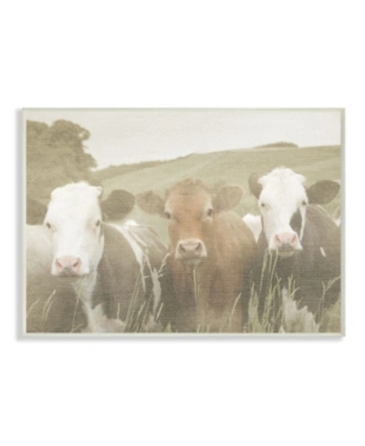 Stupell Industries Happy Neighbors Cows In The Field Wall Plaque Art, 10" X 15" In Multi