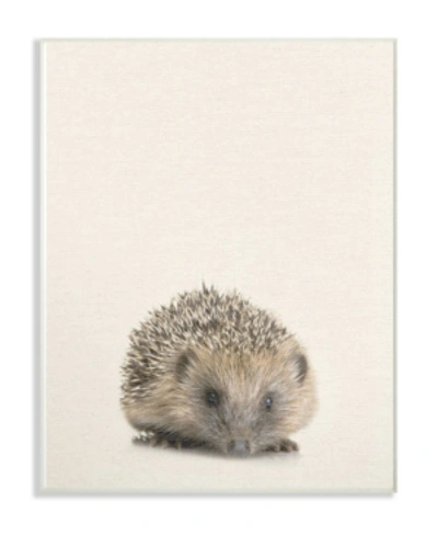 Stupell Industries Just A Cute Hedgehog Wall Plaque Art, 12.5" X 18.5" In Multi