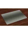 AMBESONNE OMBRE PLACE MATS, SET OF 4