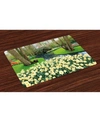 AMBESONNE SPRING PLACE MATS, SET OF 4