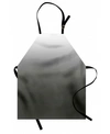 AMBESONNE OMBRE APRON