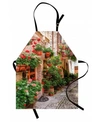 AMBESONNE ITALIAN APRON