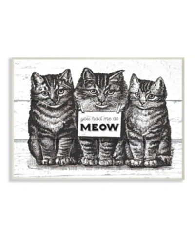 Stupell Industries You Had Me At Meow Cats Wall Plaque Art, 12.5" X 18.5" In Multi
