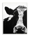 Stupell Industries Cow Black And White Close Up Wall Plaque Art, 10" X 15" In Multi