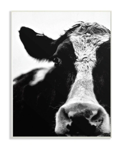 Stupell Industries Cow Black And White Close Up Wall Plaque Art, 10" X 15" In Multi
