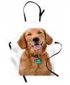 AMBESONNE GOLDEN RETRIEVER APRON