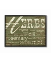 STUPELL INDUSTRIES HOME DECOR HERBS AND WORDS GREEN KITCHEN FRAMED GICLEE ART, 16" X 20"