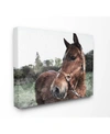 STUPELL INDUSTRIES HORSE POSING IN FIELD CANVAS WALL ART, 16" X 20"