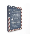STUPELL INDUSTRIES HOME DECOR PLEDGE OF ALLEGIANCE WITH AMERICAN FLAG BACKGROUND CANVAS WALL ART, 16" X 20"
