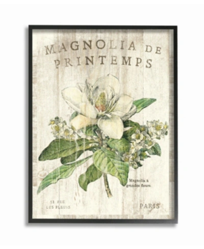 Stupell Industries French Magnolias In Spring Framed Giclee Art, 16" X 20" In Multi