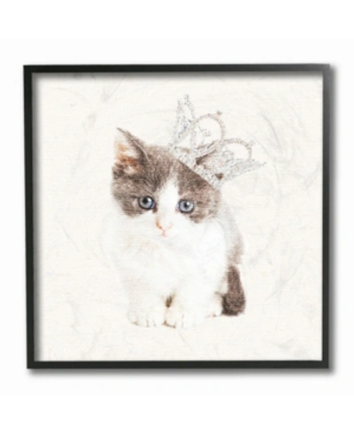 Stupell Industries Kitten Royalty Framed Giclee Art, 12" X 12" In Multi