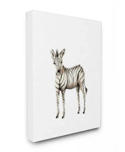 Stupell Industries Baby Zebra Illustration Canvas Wall Art, 16" X 20" In Multi