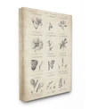 Stupell Industries Conversations On Botany Canvas Wall Art, 16" X 20" In Multi