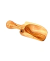 BELDINEST OLIVE WOOD FLOUR SCOOP 1 CUP