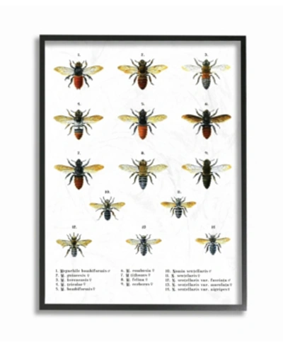 Stupell Industries Bees Scientific Vintage-inspired Illustration Framed Giclee Art, 16" X 20" In Multi