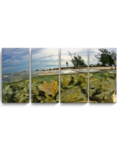 Ready2hangart Conch Shells 4 Piece Wrapped Canvas Coastal Wall Art Set, 24" X 48" In Multi
