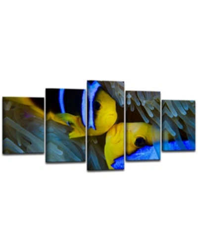 Ready2hangart Underwater Rays Duo 5 Piece Wrapped Canvas Sea Life Wall Art Set, 30" X 60" In Multi