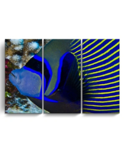 Ready2hangart Underwater Bleus 3 Piece Wrapped Canvas Sea Life Wall Art Set, 24" X 36" In Multi