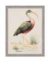 PARAGON PARAGON WATER BIRD I FRAMED WALL ART, 40" X 31"