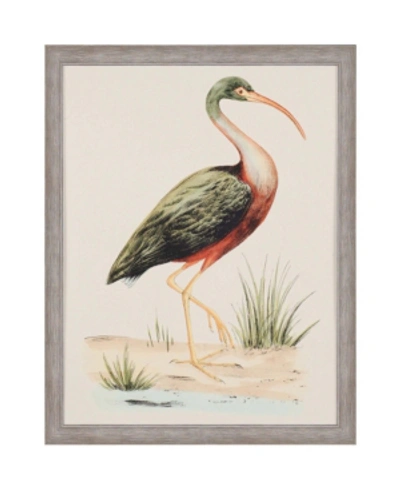 Paragon Water Bird I Framed Wall Art, 40" X 31" In Multi