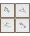 Paragon Herbs Framed Wall Art Set Of 4, 17" X 17" In Multi