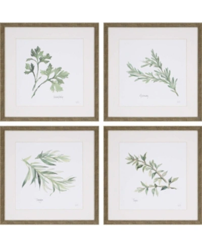 Paragon Herbs Framed Wall Art Set Of 4, 17" X 17" In Multi