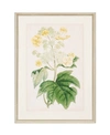 PARAGON PARAGON FLORAL LACE II FRAMED WALL ART, 30" X 22"