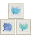 PARAGON PARAGON SEA FAN II FRAMED WALL ART SET OF 3, 25" X 25"