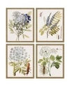 PARAGON PARAGON LACY LEAVES FRAMED WALL ART SET OF 4, 21" X 17"