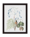 PARAGON PARAGON STUDIES IN NATURE II FRAMED WALL ART, 33" X 27"