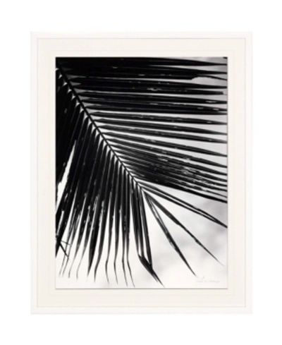 Paragon Palm Frond Ii Framed Wall Art, 49" X 39" In Multi