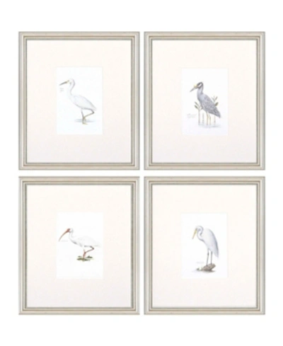 Paragon Egrets Framed Wall Art Set Of 4, 15" X 13" In Multi