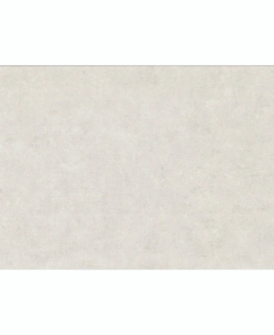 Warner Textures 27" X 324" Clegane Light Plaster Texture Wallpaper In Gray