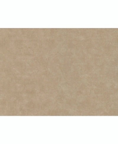 Warner Textures 27" X 324" Clegane Light Plaster Texture Wallpaper In Brown