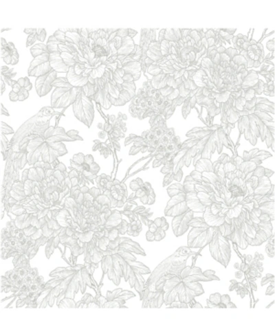 A-street Prints 20.5" X 396" Birds Of Paraside Breezefloral Wallpaper In Gray