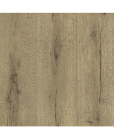 Advantage 20.5" X 369" Meadowood Wide Plank Wallpaper In Brown