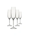 OENOPHILIA CLEAR CHAMPAGNE DRINKWARE, SET OF 4