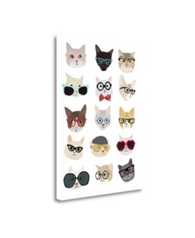 Tangletown Fine Art Cats With Glasses By Hanna Melin Giclee Print On Gallery Wrap Canvas, 18" X 24" In Multi