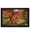 Trendy Decor 4u First Colors Of Fall By Moises Levy, Ready To Hang Framed Print, Black Frame, 20" X 14" In Multi