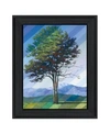 TRENDY DECOR 4U CATCHING LIGHT AS TIME PASSES BY TIM GAGNON, READY TO HANG FRAMED PRINT, BLACK FRAME, 15" X 19"