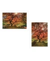 TRENDY DECOR 4U FIRST COLORS OF FALL I 2-PIECE VIGNETTE BY MOISES LEVY, WHITE FRAME, 21" X 15"