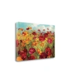 TANGLETOWN FINE ART COSMOS IN THE FIELD BY DANHUI NAI GICLEE PRINT ON GALLERY WRAP CANVAS, 34" X 23"